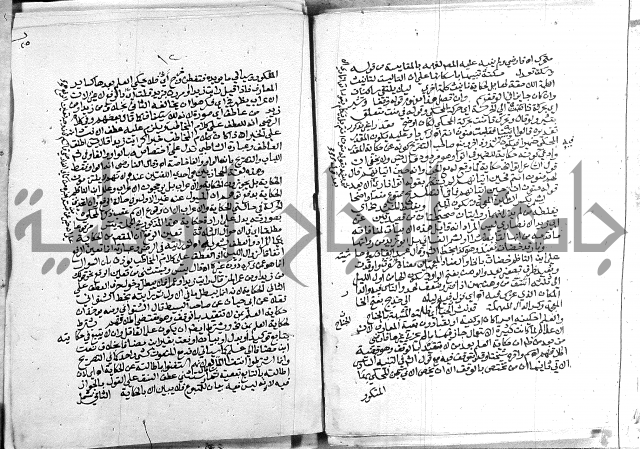 كتاب في اللغة العربية