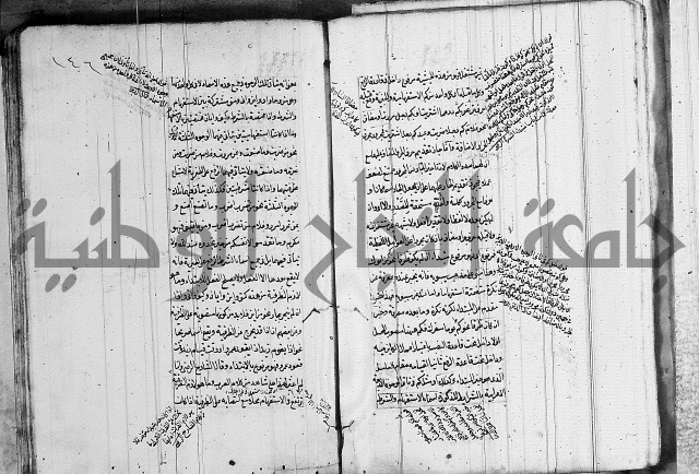 فوائد على الكافية 