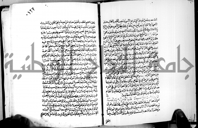 البحر الفائض في شرح ديوان ابن الفارض البوريني 