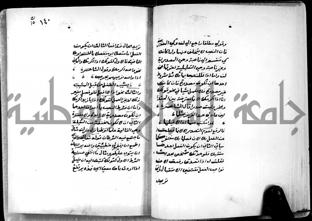 شرح شذور الذهب في معرفة كلام العرب 