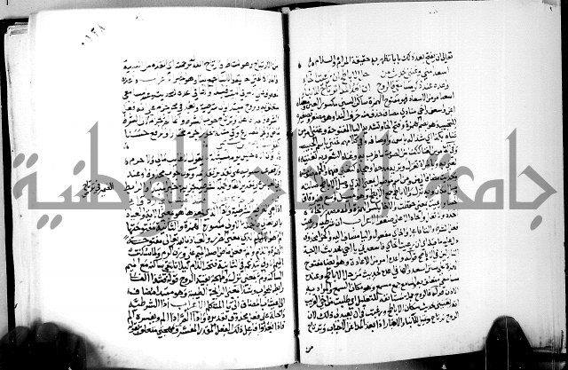 البحر الفائض في شرح ديوان ابن الفارض البوريني 