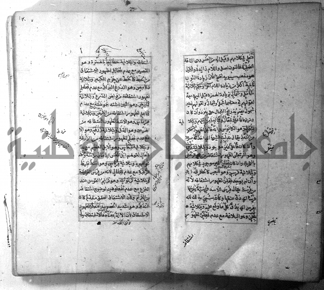 شرح الشافية 