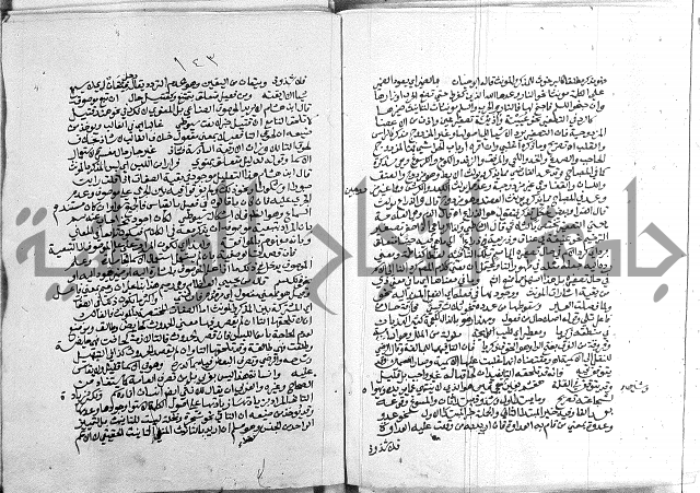 كتاب في اللغة العربية