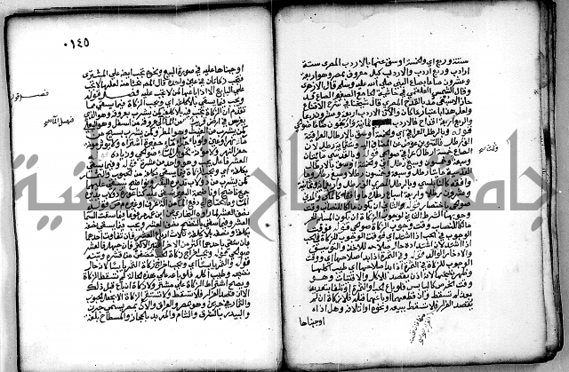 فقة من مخطوطات مسجد الحاج نمر النابلسي 