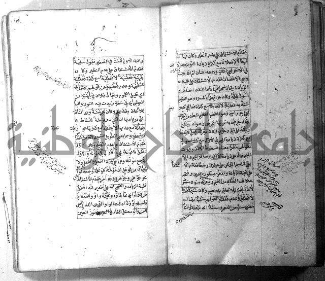 شرح الشافية 