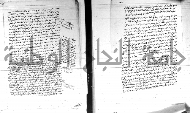 الفتاوى الحسينية