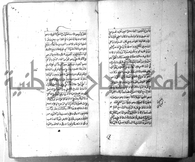 شرح الشافية 