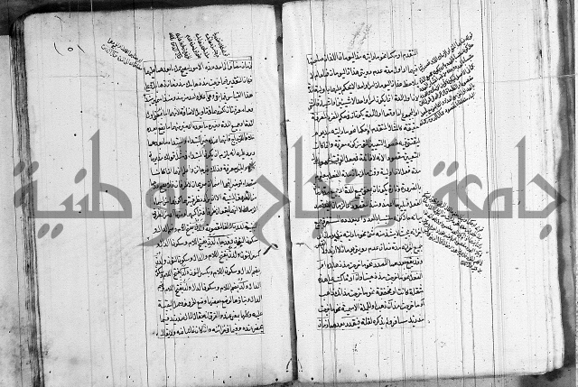 فوائد على الكافية 