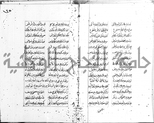 كتاب يوسف زليخا المؤلف 