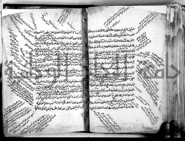 مذهب ابي حنيفة في الفقة