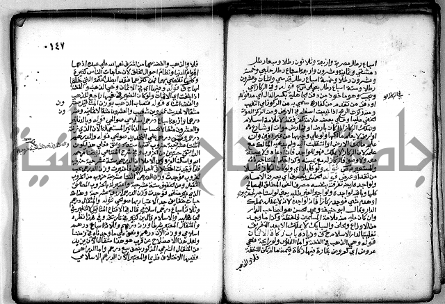 فقة من مخطوطات مسجد الحاج نمر النابلسي 