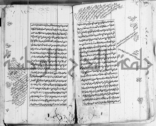 الاشباه والنظائر