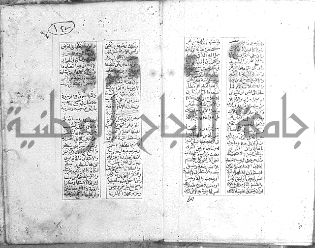 خلاصة التنوير 