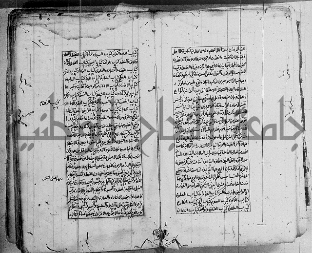 الاشباه والنظائر