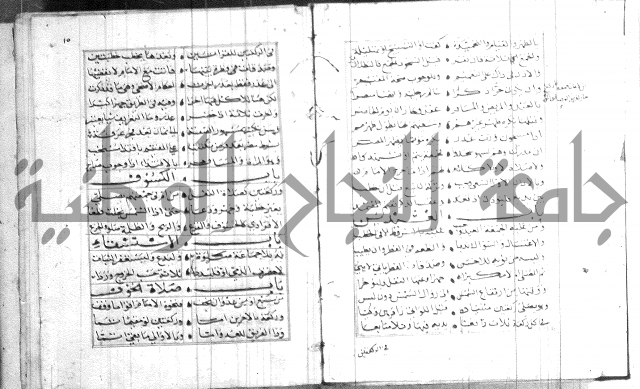 نظم كنز الدقائق