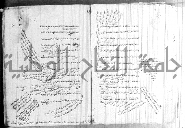 ضوء في علم النحو