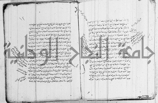 نحو - شرح الكافية