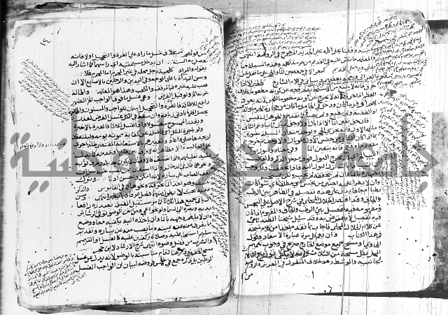 الزيادي على المنهج 