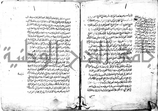 شرح الاستعارة الصغير للملوي