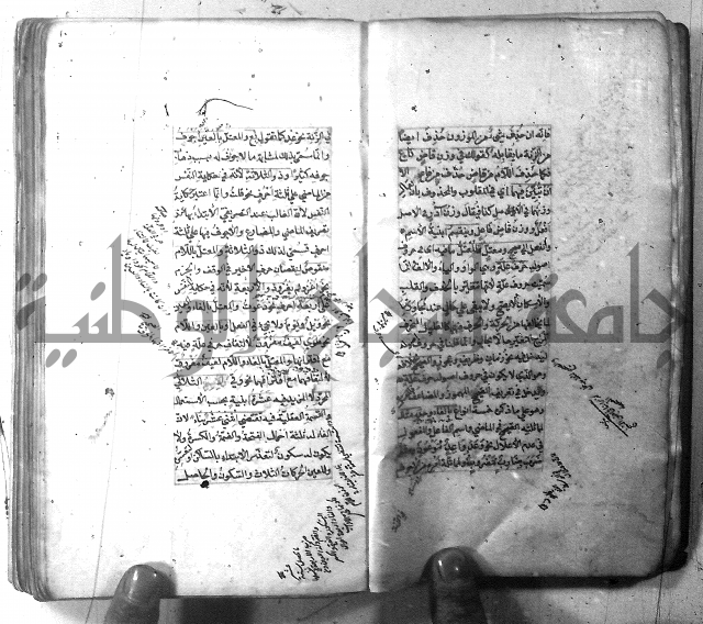 شرح الشافية 