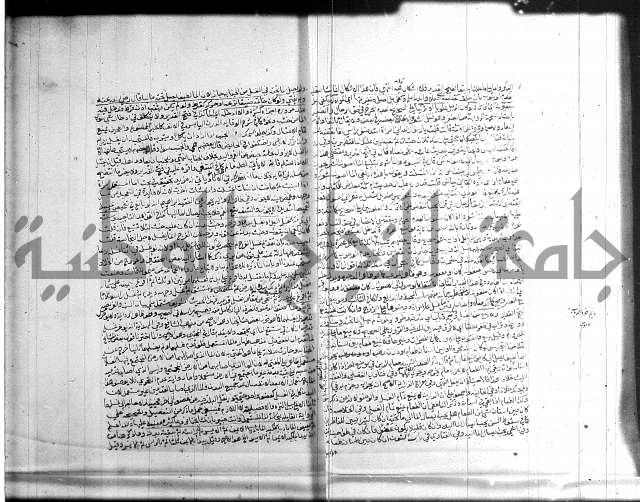 تنوير الابصار 