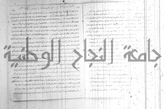 اصول معرفة النسب