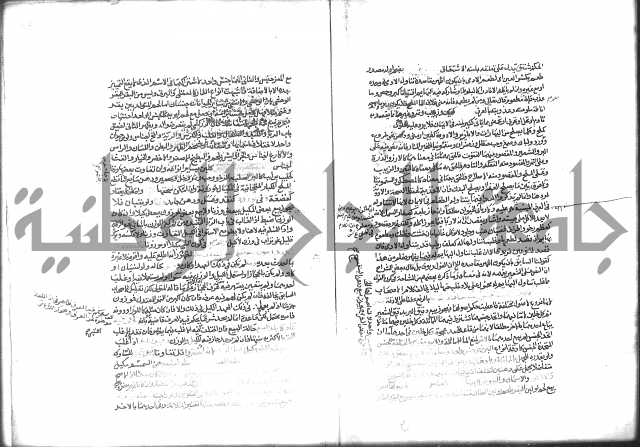 شرح الرملي 2
