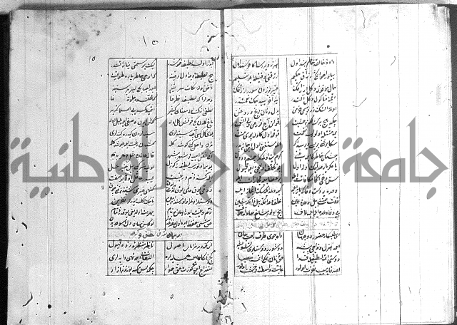 نظم تركي
