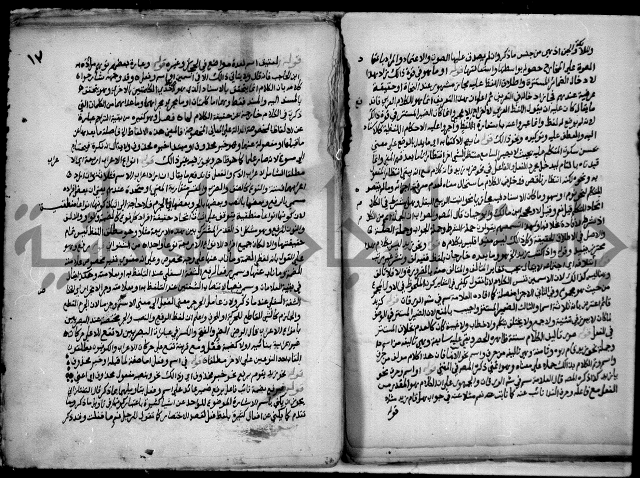 حاشية السجاعي على شرح قطر الندى وبل الصدى لابن هشام