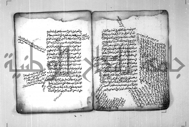 شرح الهمزية  