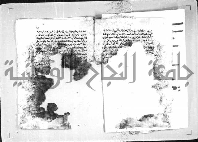 الهدهدي 
