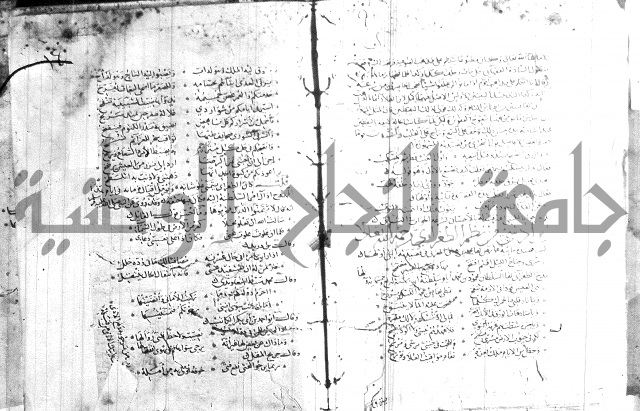 شرح لامية العجم 