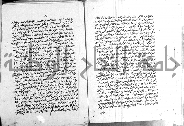 كتاب في اللغة العربية