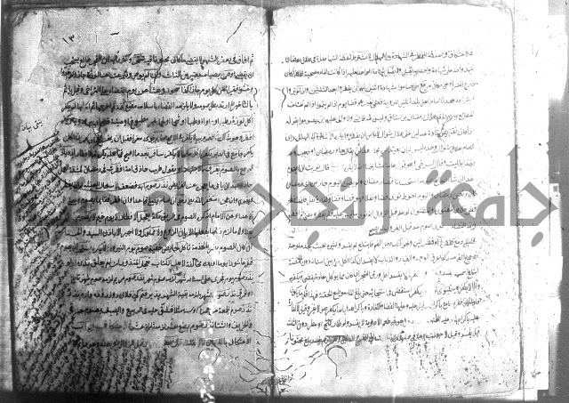منية الفتى 