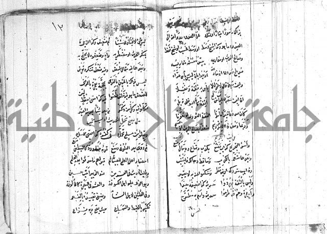 الافية على الحديث 