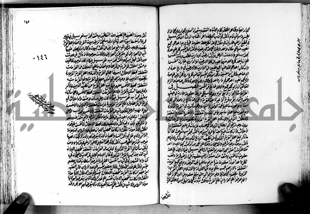 الجواهر الدورية في تنقيح الفتاوى الحامدية ج2 