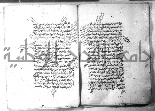 شرح الاشموني على الافية