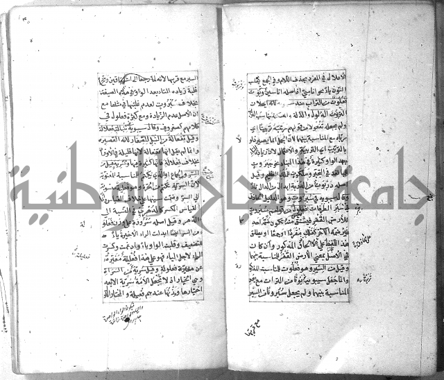 شرح الشافية 