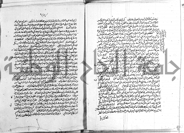 كتاب في اللغة العربية