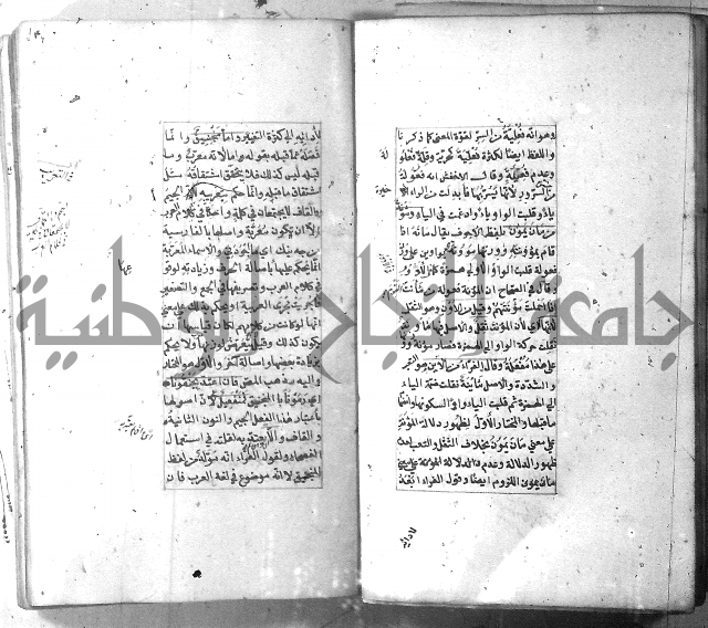 شرح الشافية 