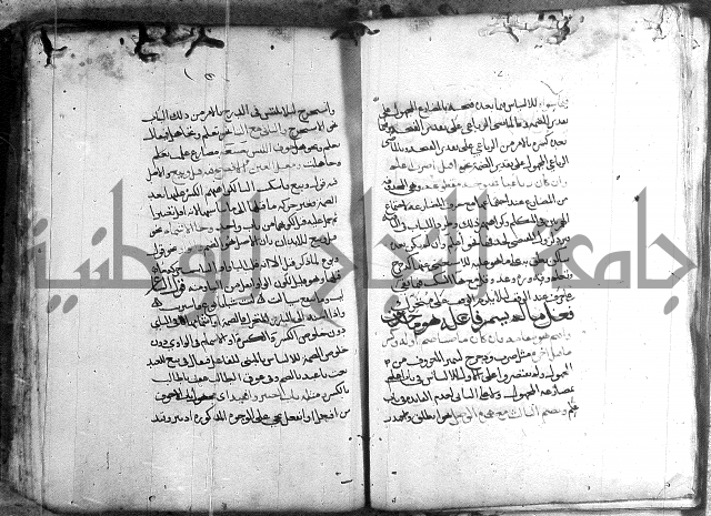 المواشح على الكافية