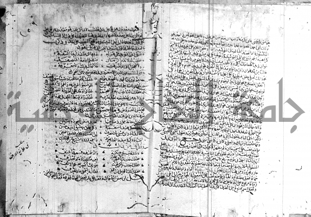 شرح لامية العجم 