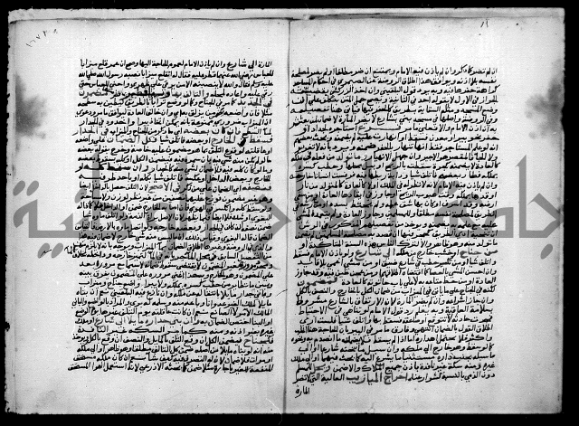 مجهول فقة 55