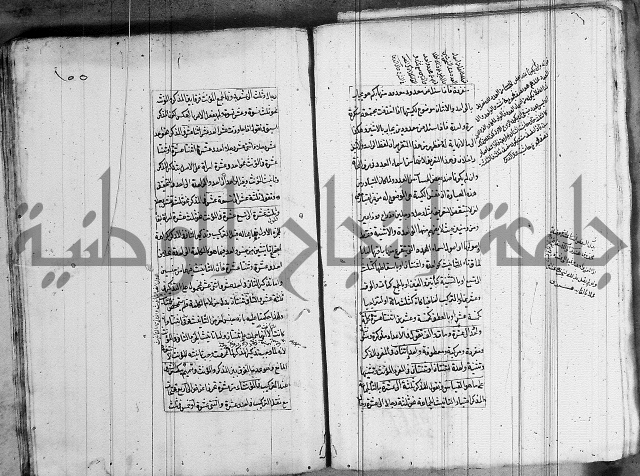 فوائد على الكافية 