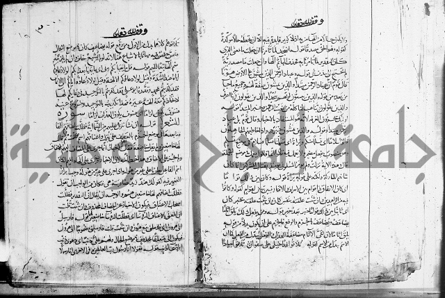 كشف المشكلات 