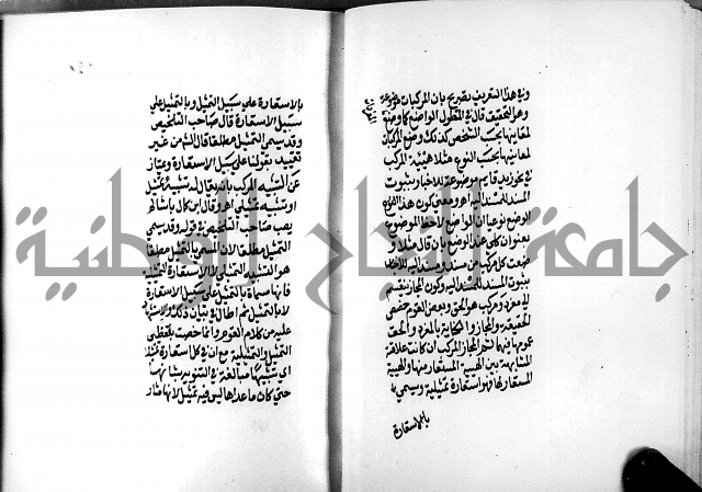 الرسالة البيانية