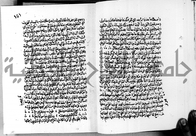 مختصر حاشية القهوتي 
