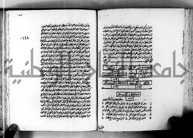 الجواهر الدورية في تنقيح الفتاوى الحامدية ج2 