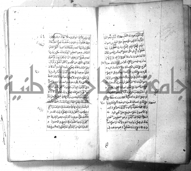 شرح الشافية 