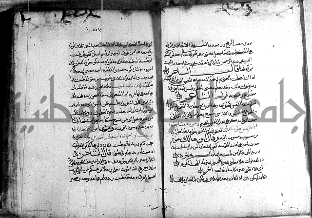 المواشح على الكافية